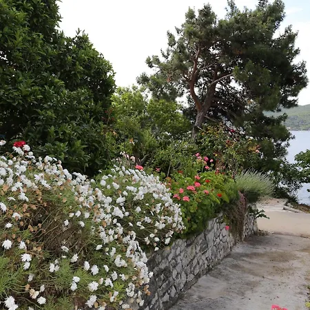 By The Sea Viganj, Peljesac - 10116 ヴィガニ