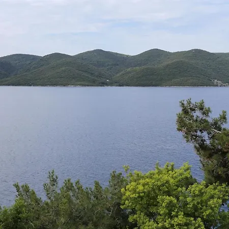 Apartments By The Sea Viganj, Peljesac - 10116 *