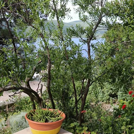 By The Sea Viganj, Peljesac - 10116 아파트 *