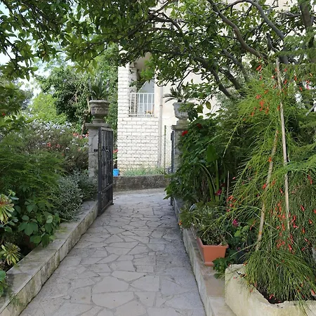 By The Sea Viganj, Peljesac - 10116 Lägenhet Viganj