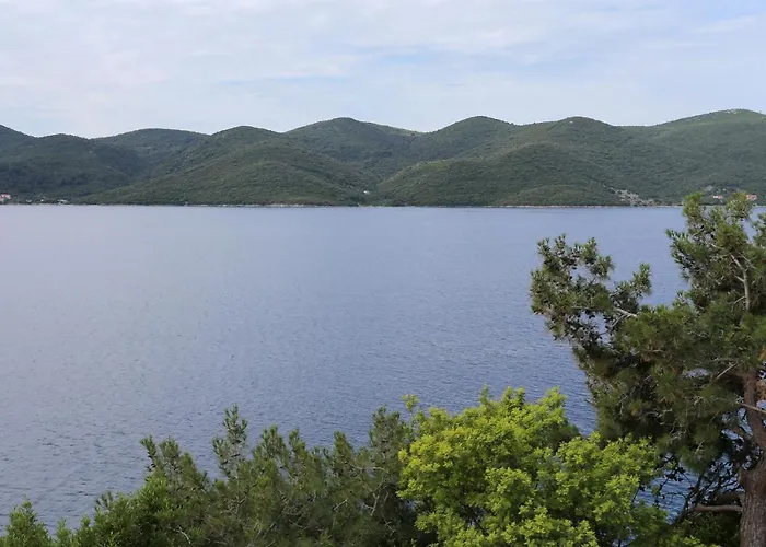 By The Sea Viganj, Peljesac - 10116 *