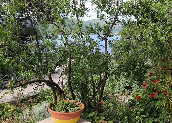 By The Sea Viganj, Peljesac - 10116 Appartement *